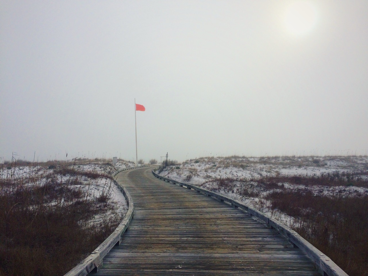 Photograph by Matt Martin