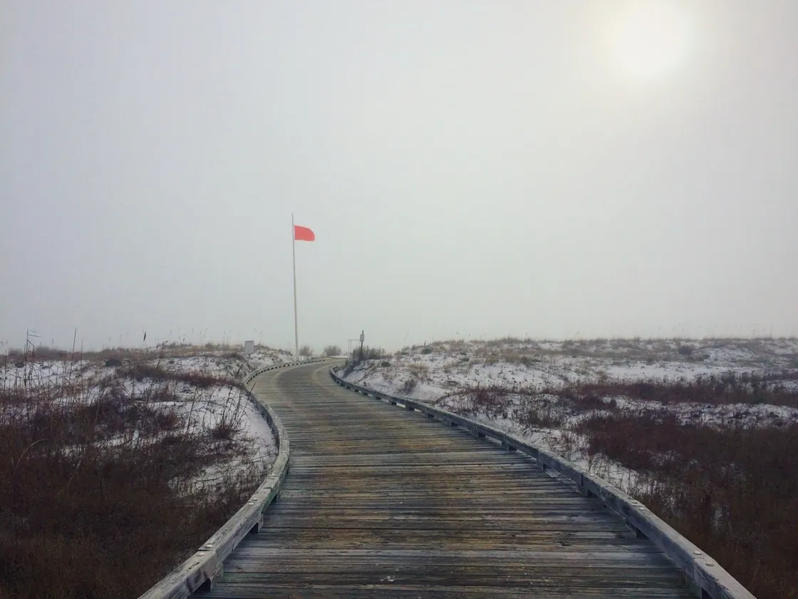 Photograph by Matt Martin