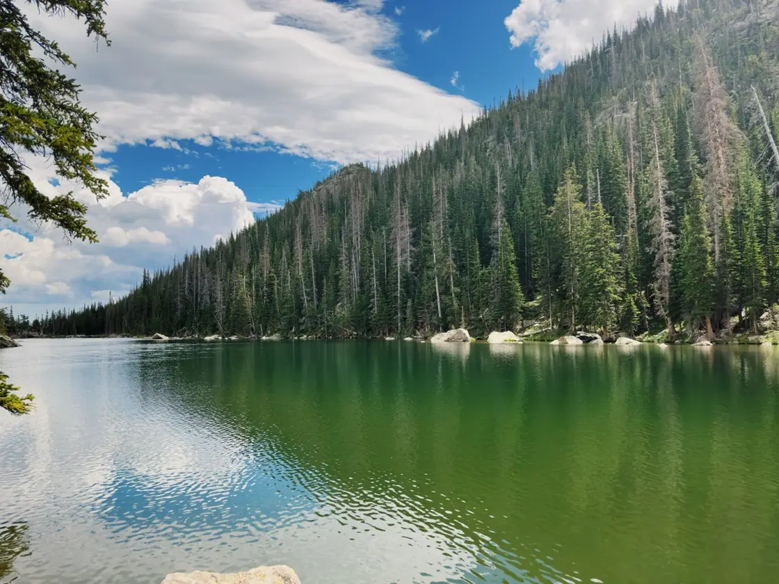 Photograph by Matt Martin